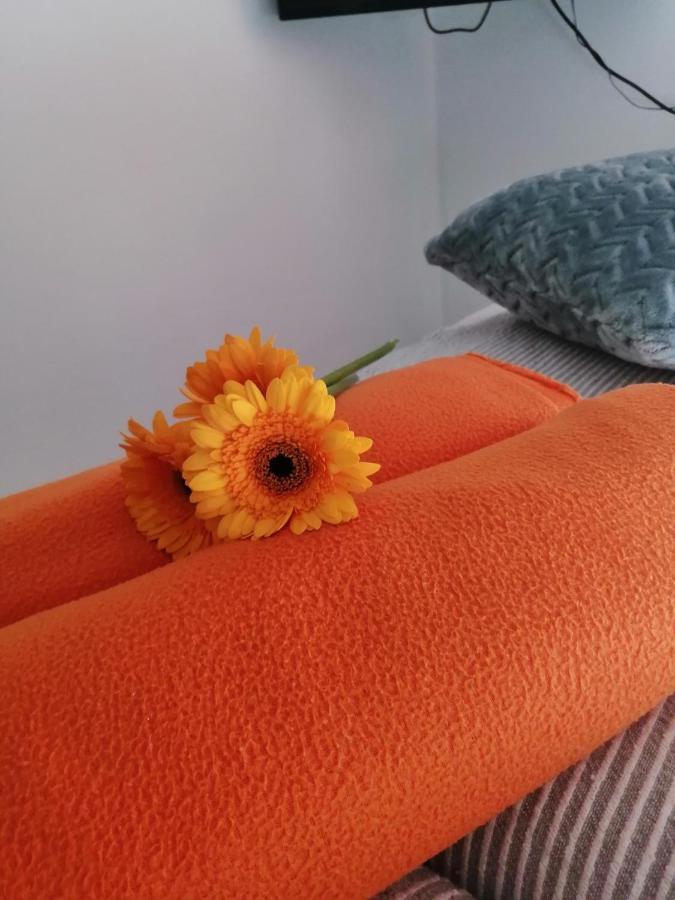 Apartman Radic Trogir Exterior foto